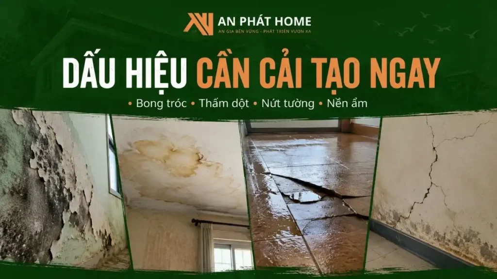 Tường bong tróc, trần ố vàng, nền ẩm và các vết nứt là những dấu hiệu cho thấy nhà cấp 4 cần được khảo sát và cải tạo sớm