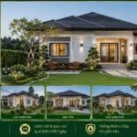 Mẫu nhà mái Nhật hiện đại NMN16