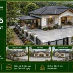 Mẫu nhà mái Nhật hiện đại NMN25