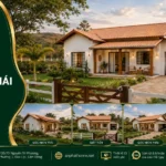 Mẫu nhà mái Thái MT19