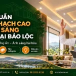 Quy chuẩn trần thạch cao và chiếu sáng nhà ở tại Bảo Lộc thi công đúng kỹ thuật